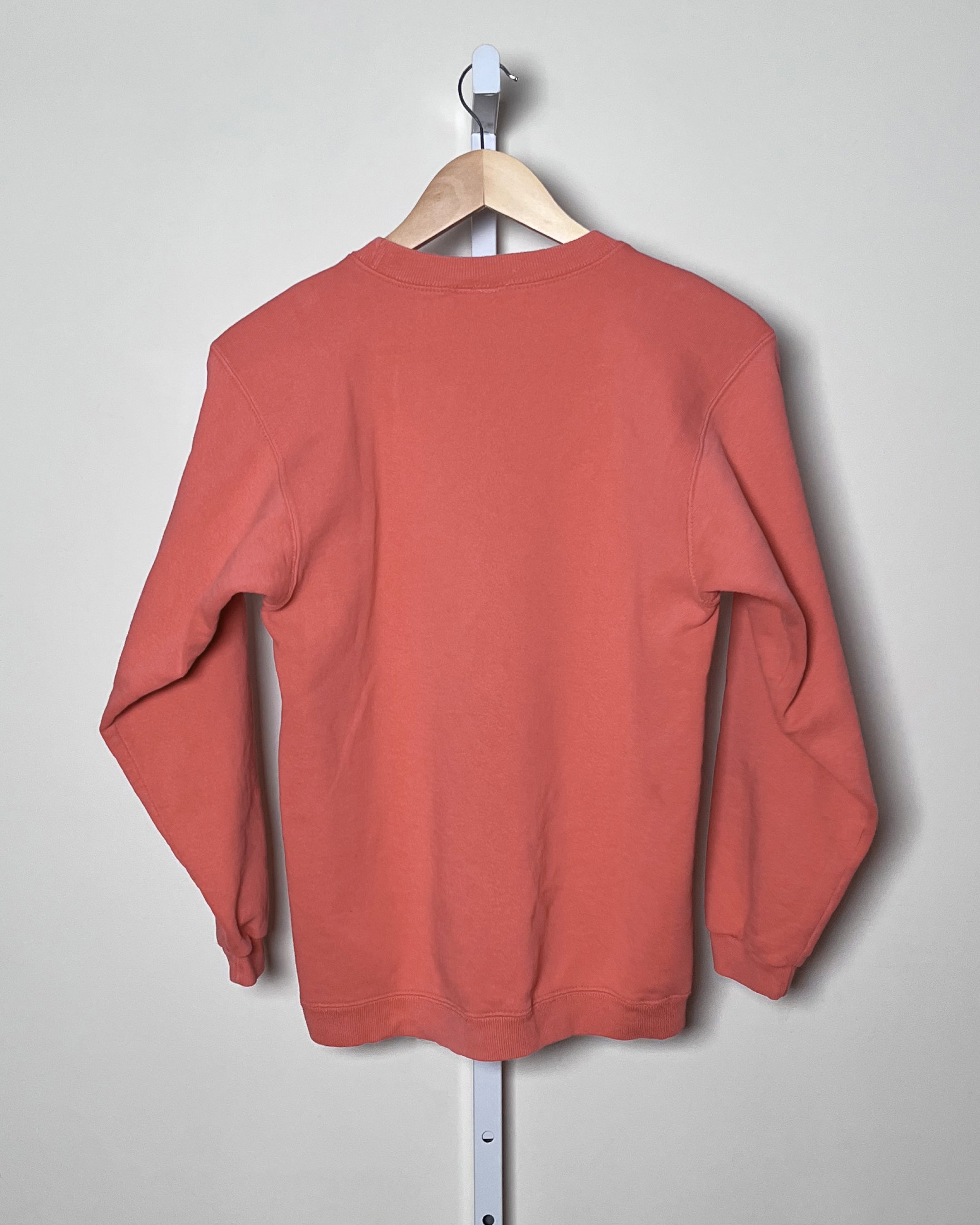 Champion Crewneck - Small